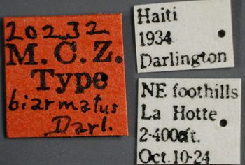 Media type: image;   Entomology 20232 Aspect: labels